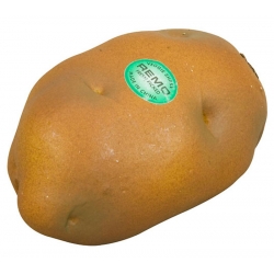 REMO VEGETABLE - Shaker w kształcie ziemniaka
