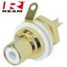 REAN NYS 367-9 - Gniazdo RCA na panel