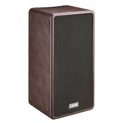 LANEY A-DUO – Combo Akustyczne
