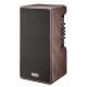 LANEY A-DUO – Combo Akustyczne